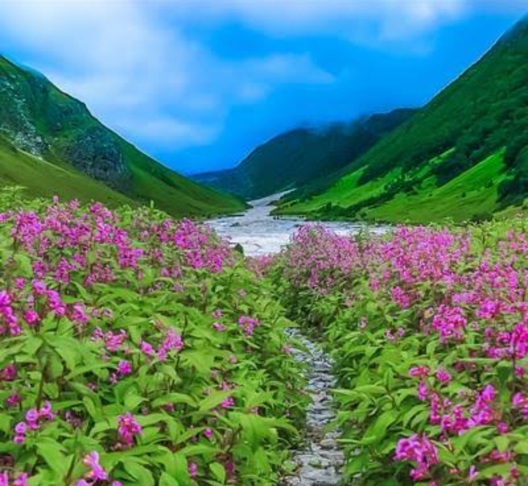 पर्यटको के लिए खुली विश्व धरोहर  ' फूलों की घाटी'