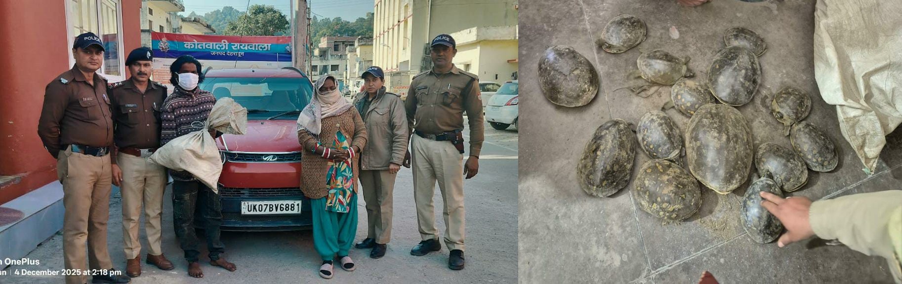 14 कछुवों की तस्करी करते ऋषिकेश का दम्पति गिरफ्तार