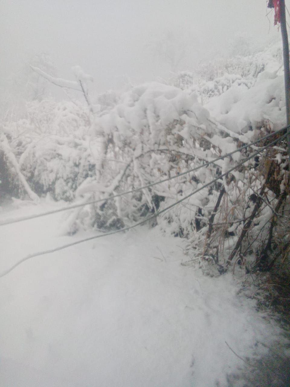 मौसम की पहली बर्फबारी से चमक उठा उत्तराखंड
