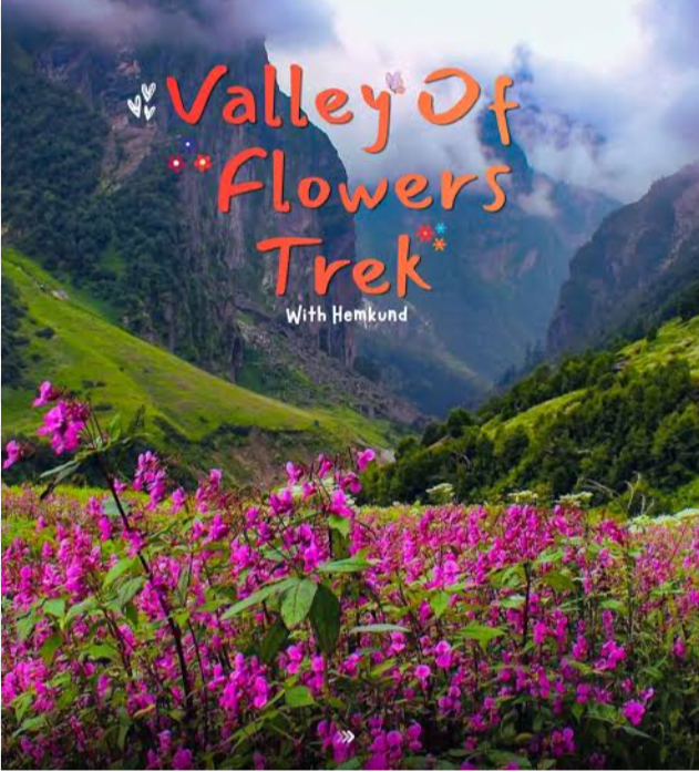 फूलों की घाटी के खुले द्वार, प्रकृति प्रेमियों के लिए शुरू हुआ रोमांचक सफर*