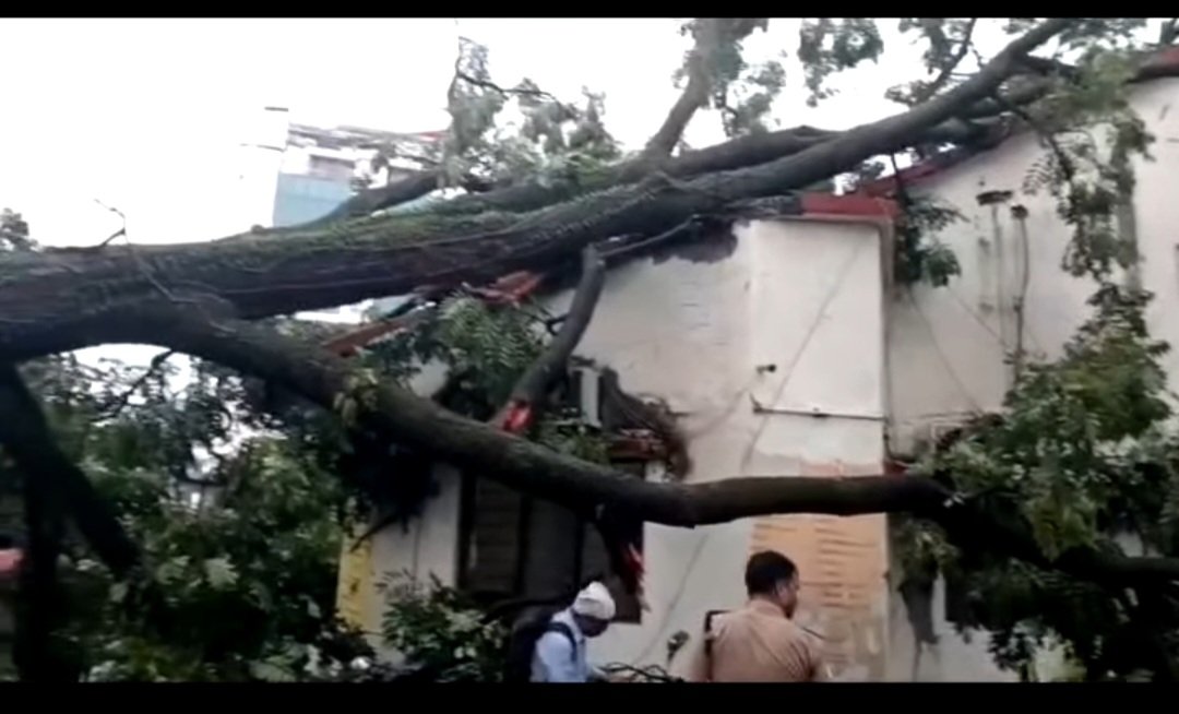 तेज आंधी से देहरादून में हड़कंप, रिस्पना पुल से लेकर एसपी सिटी ऑफिस तक नुकसान